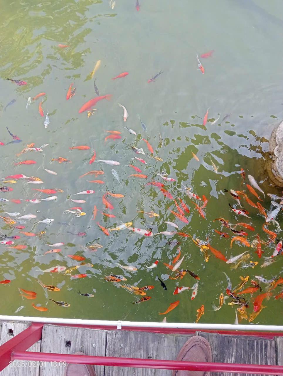 Homestay Suoi Khoang Minh Hang Yen Bai ภายนอก รูปภาพ